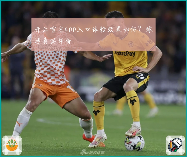 开云官方app入口体验效果如何？球迷真实评价