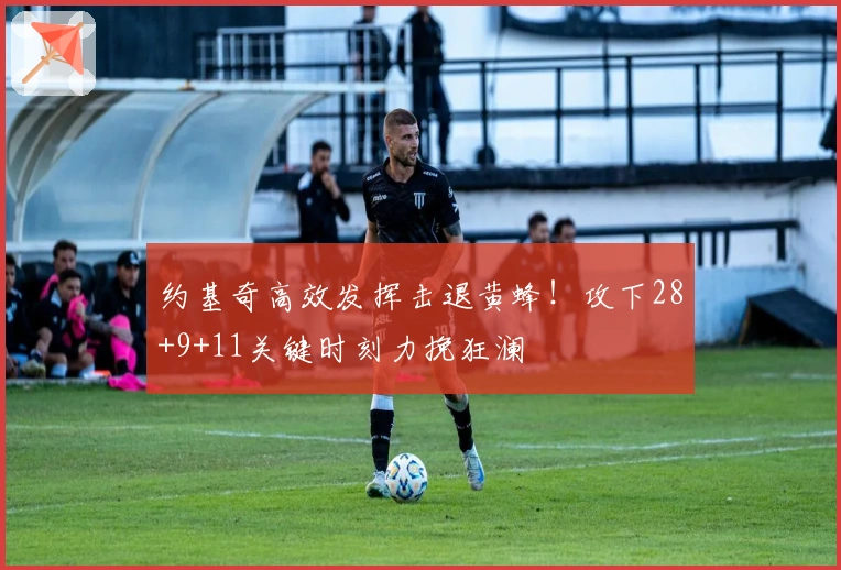 约基奇高效发挥击退黄蜂！攻下28+9+11关键时刻力挽狂澜