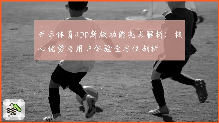 开云体育app新版功能亮点解析:核心优势与用户体验全方位剖析