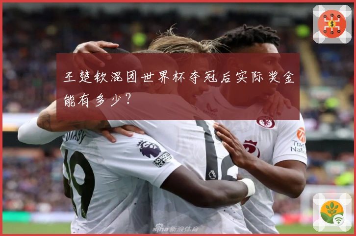 王楚钦混团世界杯夺冠后实际奖金能有多少？